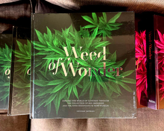https://dryerbvssmokeshop.com/blogs/noticias/el-legado-de-la-cannabis-y-la-humanidad